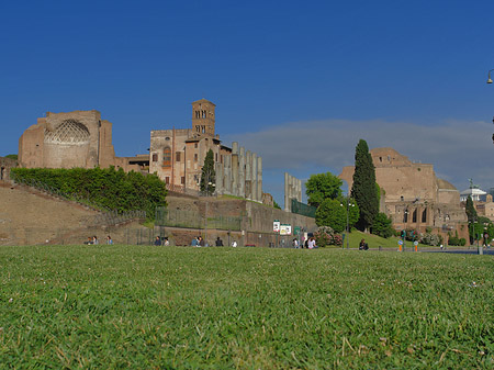 Foto Tempel der Venus