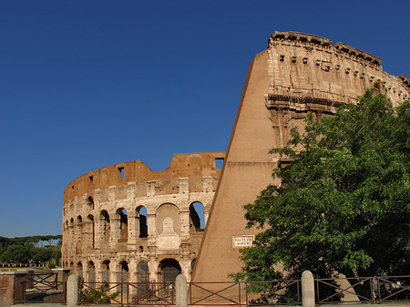 Foto Bäume vor dem Kolosseum