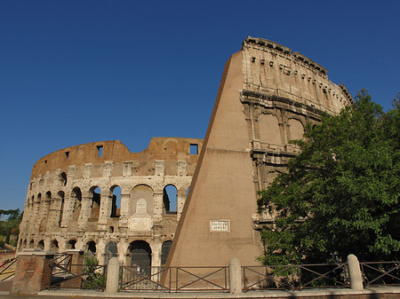 Bäume vor dem Kolosseum Foto 