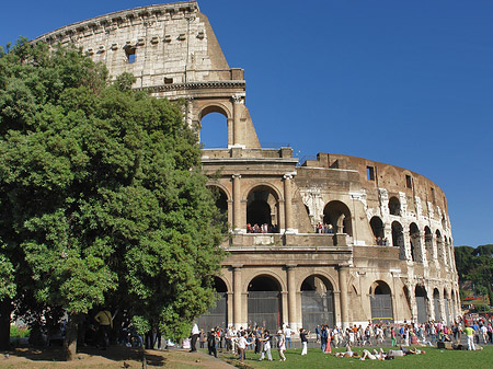 Foto Kolosseum hinter Bäumen und Säulen - Rom
