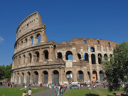 Fotos Kolosseum hinter Bäumen und Säulen | Rom