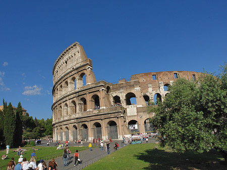 Foto Kolosseum hinter Bäumen und Säulen