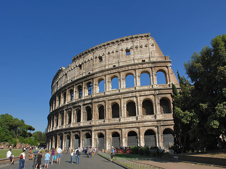 Foto Kolosseum hinter Bäumen und Säulen - Rom