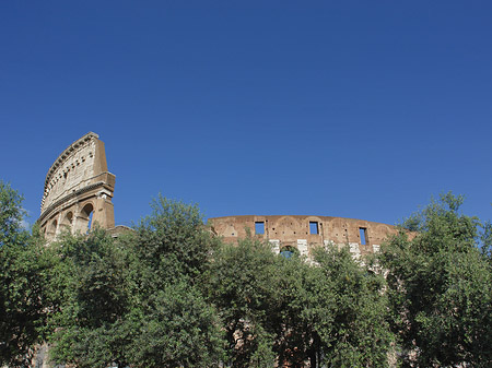 Foto Kolosseum hinter Bäumen und Säulen