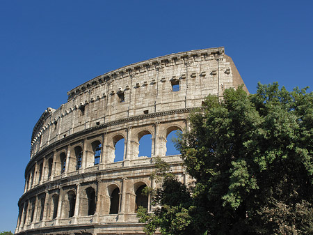 Foto Kolosseum - Rom