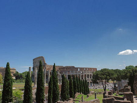 Fotos Kolosseum mit dem Forum Romanum