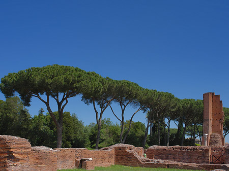 Foto Ruinen am Apollo Tempel - Rom