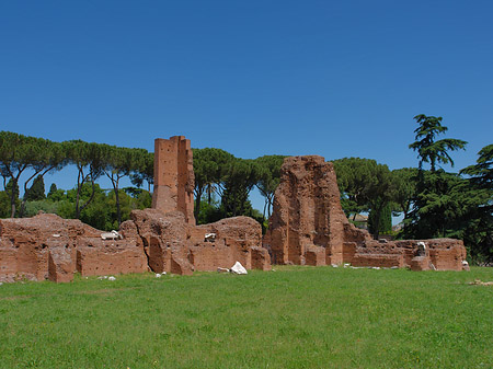 Ruinen am Apollo Tempel Fotos