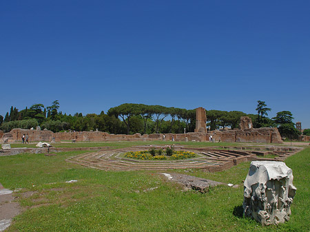 Domus Flavia Foto 
