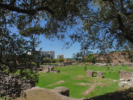 Fotos Palatin Museum