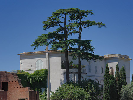 Fotos Palatin Museum | Rom