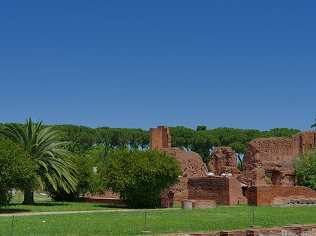 Foto Palatin