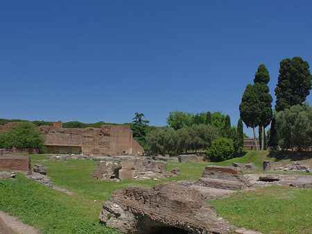 Fotos Ruinen auf dem Palatin Hügel | Rom
