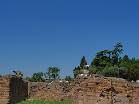 Ruinen auf dem Palatin Hügel Fotos