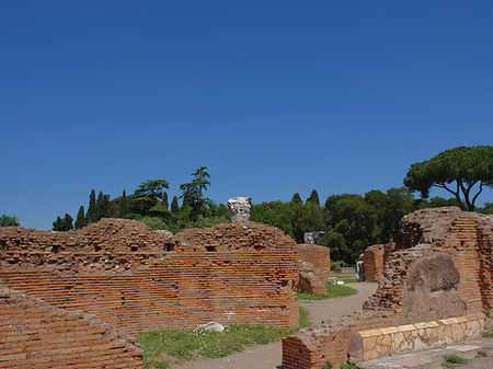 Ruinen auf dem Palatin Hügel Fotos
