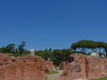 Ruinen auf dem Palatin Hügel Foto 