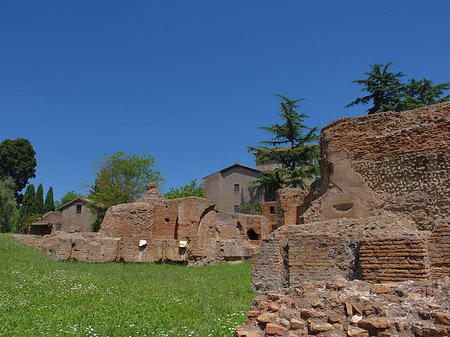 Fotos Ruinen auf dem Palatin Hügel | Rom