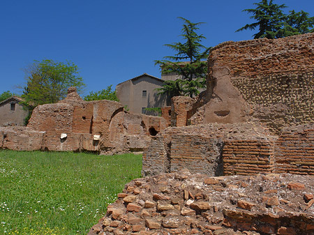 Fotos Ruinen auf dem Palatin Hügel | Rom