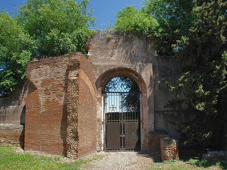 Fotos Ruinen auf dem Palatin Hügel | Rom