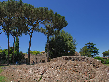 Fotos Ruinen auf dem Palatin Hügel