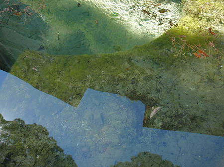 Wasser am Palatin Fotos