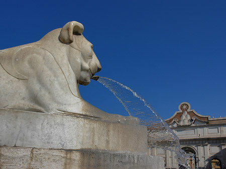 Löwenbrunnen Foto 
