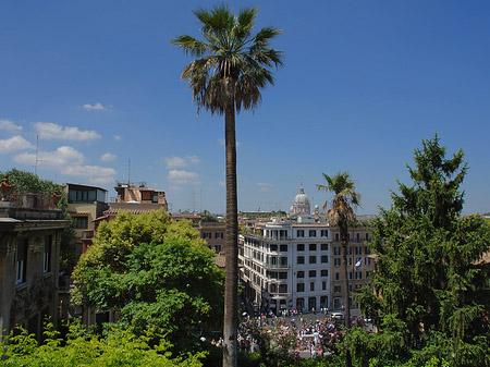Foto Palme an der Spanischen Treppe - Rom