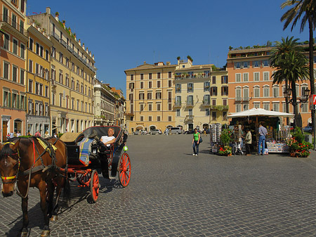 Pferdekutsche auf der Piazza die Spagna Fotos