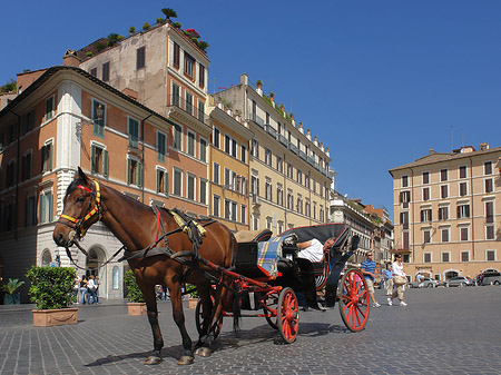 Foto Pferdekutsche auf der Piazza die Spagna