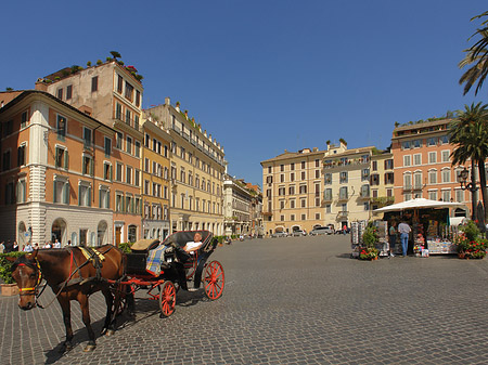Foto Pferdekutsche auf der Piazza die Spagna