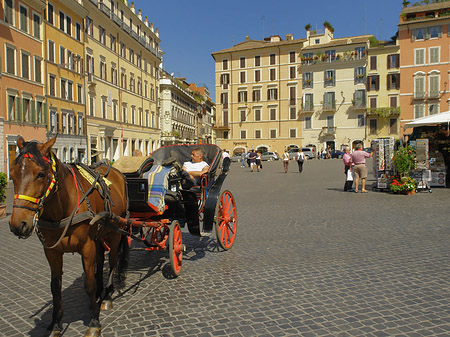 Pferdekutsche auf der Piazza die Spagna Fotos