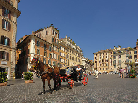 Pferdekutsche auf der Piazza die Spagna Fotos