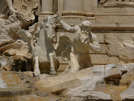 Fotos Details am Trevibrunnen