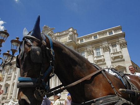 Pferdekutsche vor dem Brunnen